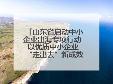 山东省启动中小企业出海专项行动 以优质中小企业“走出去”新成效展示山东产业发展新形象