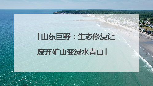 山东巨野：生态修复让废弃矿山变绿水青山