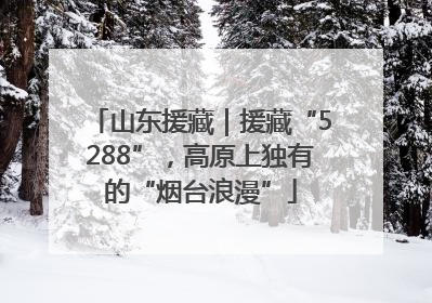 山东援藏｜援藏“5288”，高原上独有的“烟台浪漫”