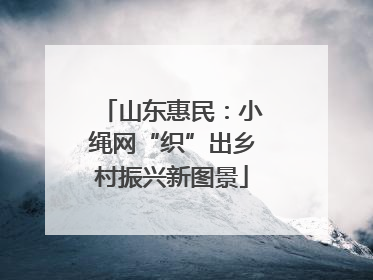 山东惠民：小绳网“织”出乡村振兴新图景