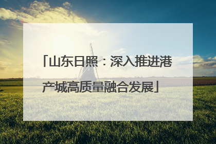 山东日照：深入推进港产城高质量融合发展