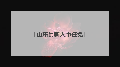 山东最新人事任免