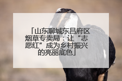 山东聊城东昌府区烟草专卖局：让“志愿红”成为乡村振兴的亮丽底色
