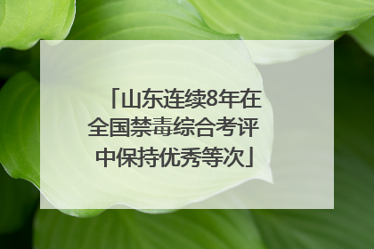 山东连续8年在全国禁毒综合考评中保持优秀等次