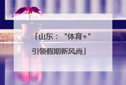 山东：“体育+”引领假期新风尚