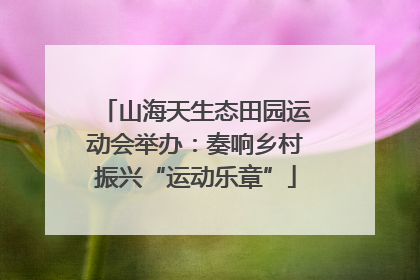 山海天生态田园运动会举办：奏响乡村振兴“运动乐章”