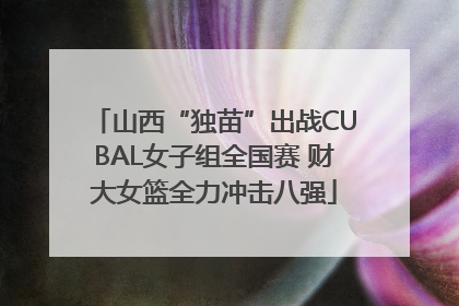 山西“独苗”出战CUBAL女子组全国赛 财大女篮全力冲击八强