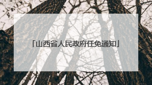 山西省人民政府任免通知