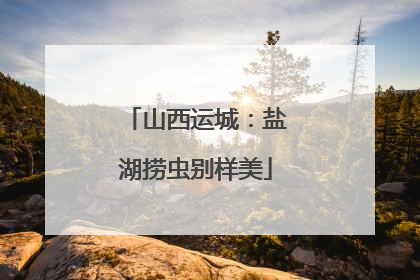 山西运城：盐湖捞虫别样美