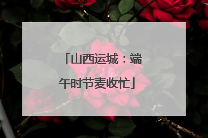 山西运城：端午时节麦收忙