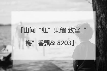 山间“红”果缀 致富“梅”香飘& 8203