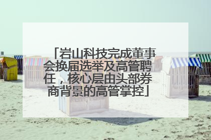 岩山科技完成董事会换届选举及高管聘任，核心层由头部券商背景的高管掌控