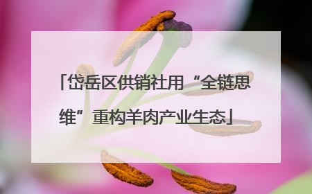 岱岳区供销社用“全链思维”重构羊肉产业生态