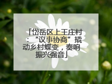 岱岳区上王庄村：“议事协商”撬动乡村蝶变，奏响振兴强音