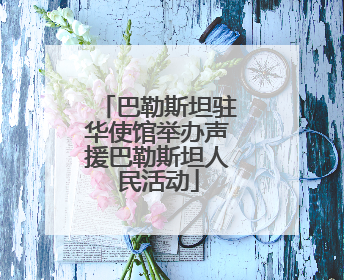巴勒斯坦驻华使馆举办声援巴勒斯坦人民活动