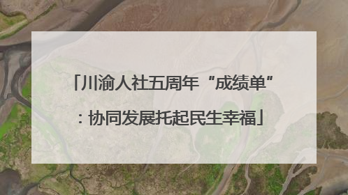 川渝人社五周年“成绩单”：协同发展托起民生幸福