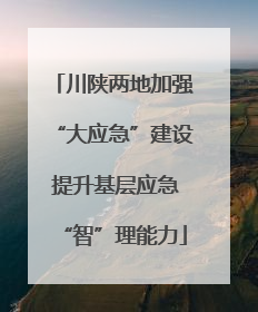 川陕两地加强“大应急”建设 提升基层应急“智”理能力