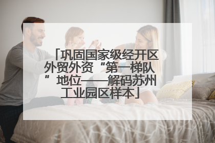 巩固国家级经开区外贸外资“第一梯队”地位——解码苏州工业园区样本