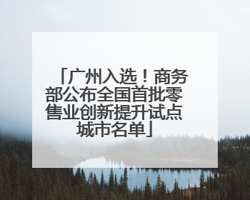 广州入选！商务部公布全国首批零售业创新提升试点城市名单