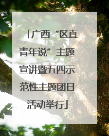 广西“区直青年说”主题宣讲暨五四示范性主题团日活动举行