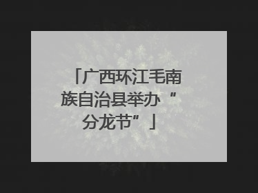 广西环江毛南族自治县举办“分龙节”