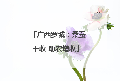 广西罗城：桑蚕丰收 助农增收