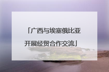 广西与埃塞俄比亚开展经贸合作交流