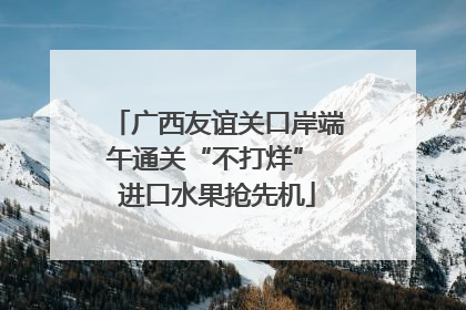广西友谊关口岸端午通关“不打烊” 进口水果抢先机