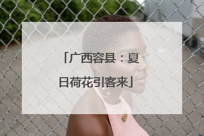 广西容县：夏日荷花引客来