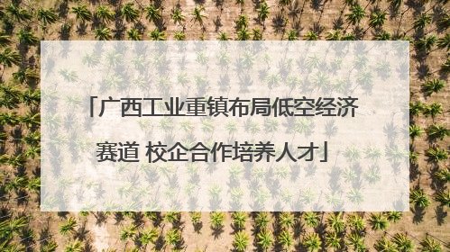 广西工业重镇布局低空经济赛道 校企合作培养人才
