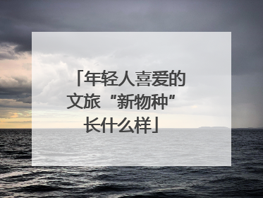 年轻人喜爱的文旅“新物种”长什么样
