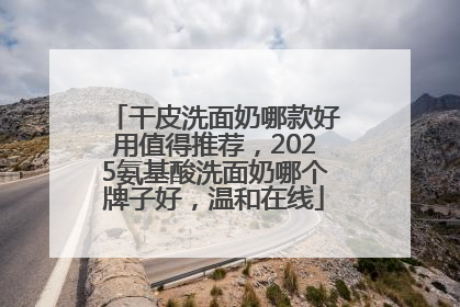 干皮洗面奶哪款好用值得推荐，2025氨基酸洗面奶哪个牌子好，温和在线