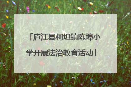 庐江县柯坦镇陈埠小学开展法治教育活动