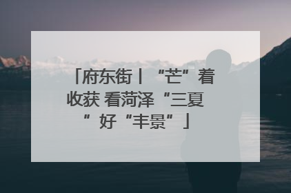 府东街丨“芒”着收获 看菏泽“三夏”好“丰景”