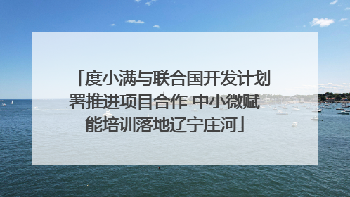 度小满与联合国开发计划署推进项目合作 中小微赋能培训落地辽宁庄河
