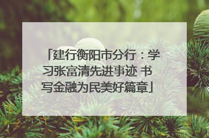 建行衡阳市分行：学习张富清先进事迹 书写金融为民美好篇章