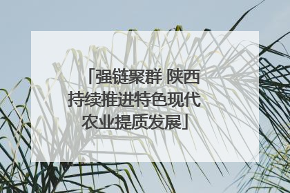 强链聚群 陕西持续推进特色现代农业提质发展