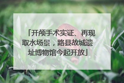 开颅手术实证、再现取水场景，路县故城遗址博物馆今起开放