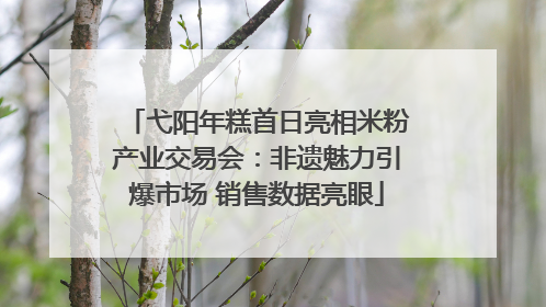 弋阳年糕首日亮相米粉产业交易会：非遗魅力引爆市场 销售数据亮眼