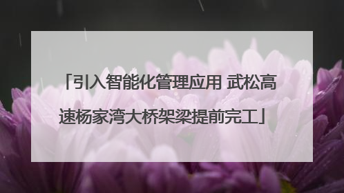 引入智能化管理应用 武松高速杨家湾大桥架梁提前完工