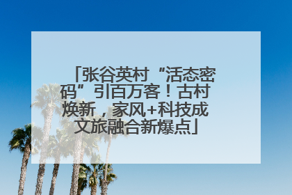 张谷英村“活态密码”引百万客！古村焕新，家风+科技成文旅融合新爆点