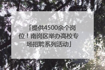 提供4500余个岗位！南岗区举办高校专场招聘系列活动