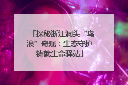 探秘浙江洞头“鸟浪”奇观：生态守护铸就生命驿站