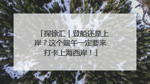 探徐汇｜登船还是上岸？这个端午一定要来打卡上海西岸！