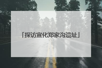 探访宣化郑家沟遗址
