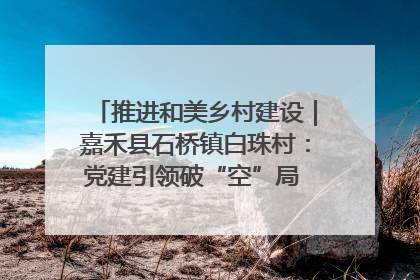 推进和美乡村建设｜嘉禾县石桥镇白珠村：党建引领破“空”局 乡贤聚力绘就新图景