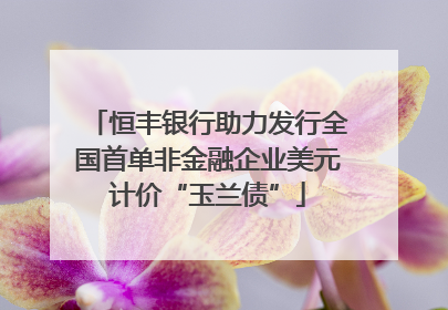 恒丰银行助力发行全国首单非金融企业美元计价“玉兰债”