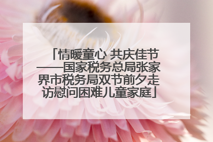 情暖童心 共庆佳节——国家税务总局张家界市税务局双节前夕走访慰问困难儿童家庭