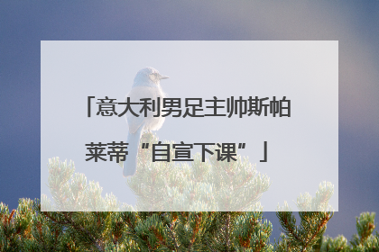 意大利男足主帅斯帕莱蒂“自宣下课”