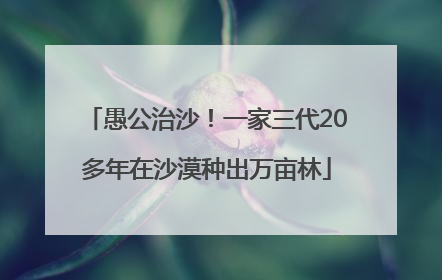 愚公治沙！一家三代20多年在沙漠种出万亩林